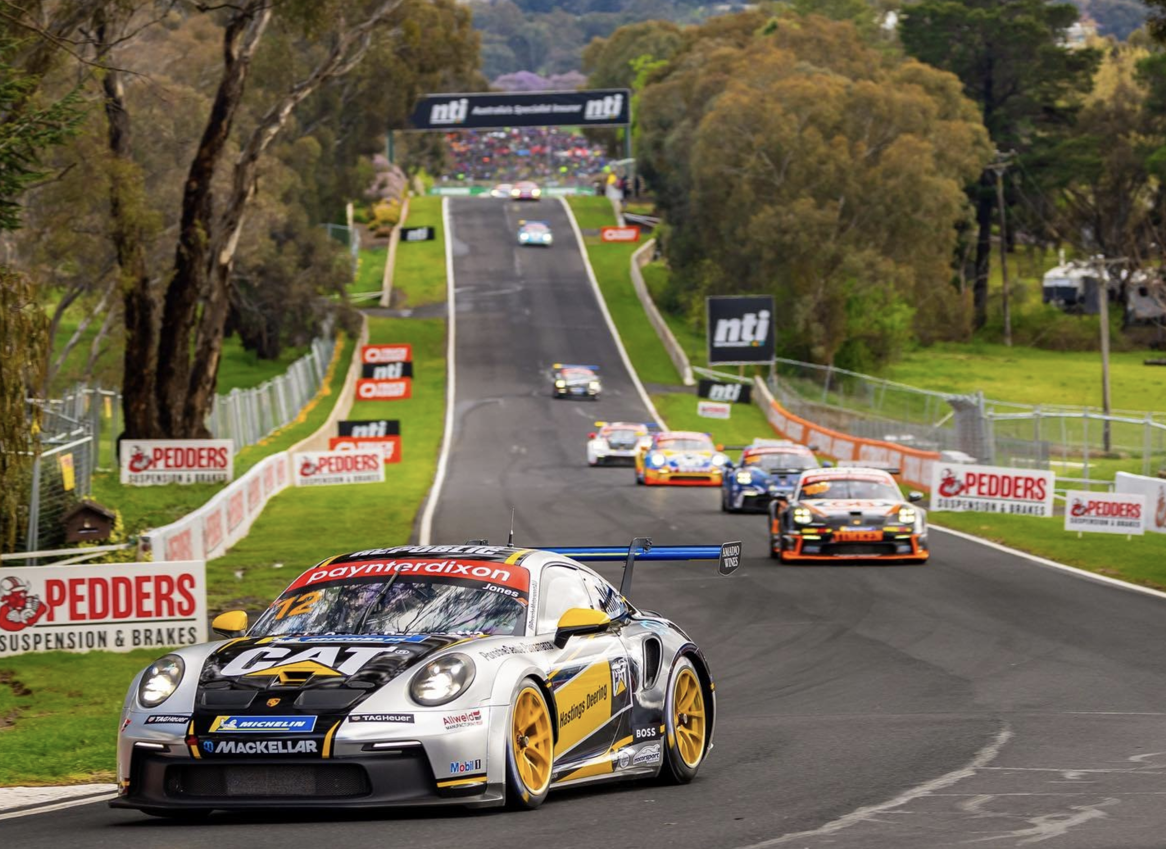 iRacing Porsche Cup Bathurst